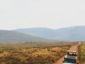 African Serengeti Safari Adventure